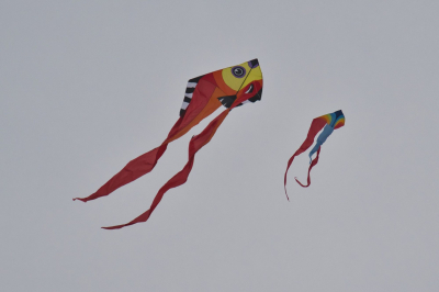 Aero Club Gotha Drachenfest