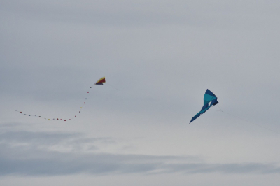 Aero Club Gotha Drachenfest