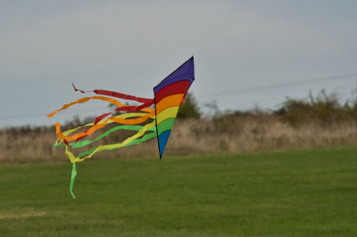Aero Club Gotha Drachenfest