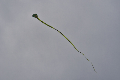 Aero Club Gotha Drachenfest