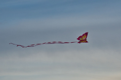 Aero Club Gotha Drachenfest