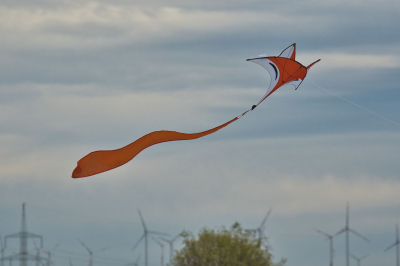 Aero Club Gotha Drachenfest