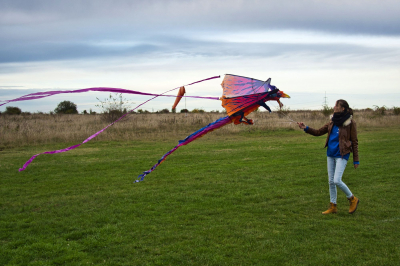Aero Club Gotha Drachenfest