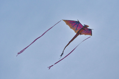 Aero Club Gotha Drachenfest