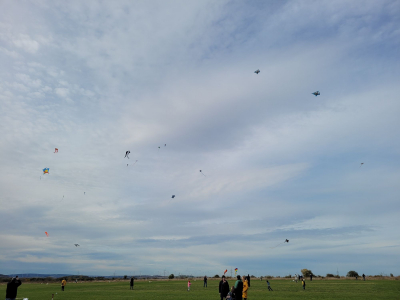 Aero Club Gotha Drachenfest